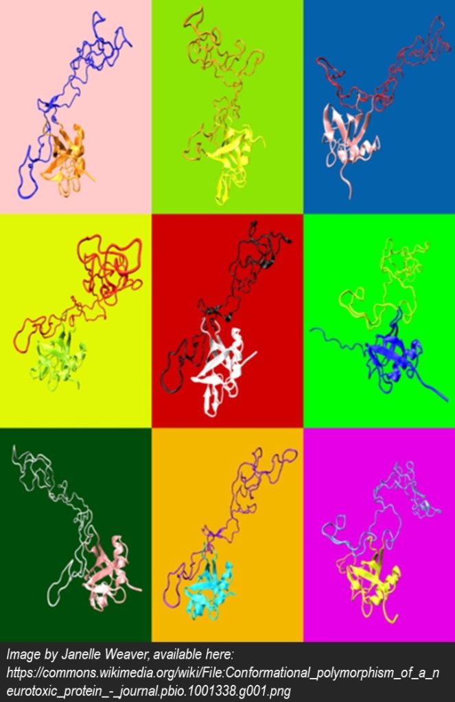 Artistic rendering of conformational polymorphism of neurotoxic protein