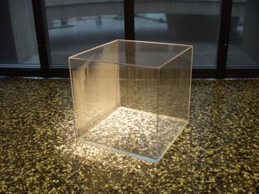 Condensation Cube artwork by Hans Haacke