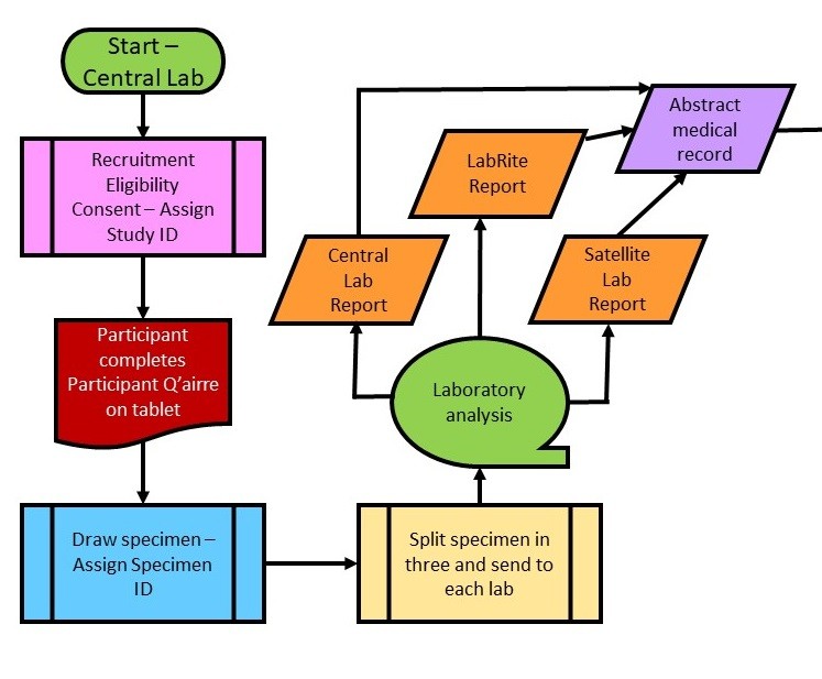 This flow chart is an example of the time of files you make if you take this online data curation course