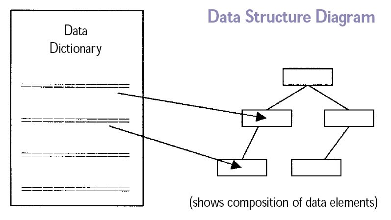 Diagram of how a data dictionary relates to data elements and variables in a data structure