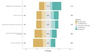 The Likert package in R can visualize categorical data.