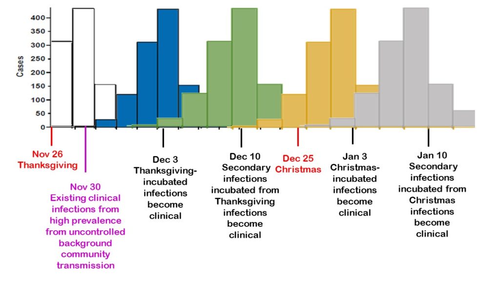 Data in simulated epicurves show frequencies and explain outbreak timing