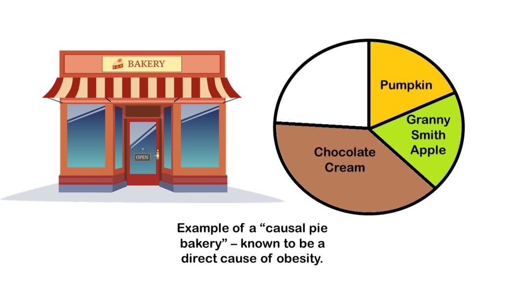 We can think of a causal pie like real pies that are part of a bad diet that causes obesity