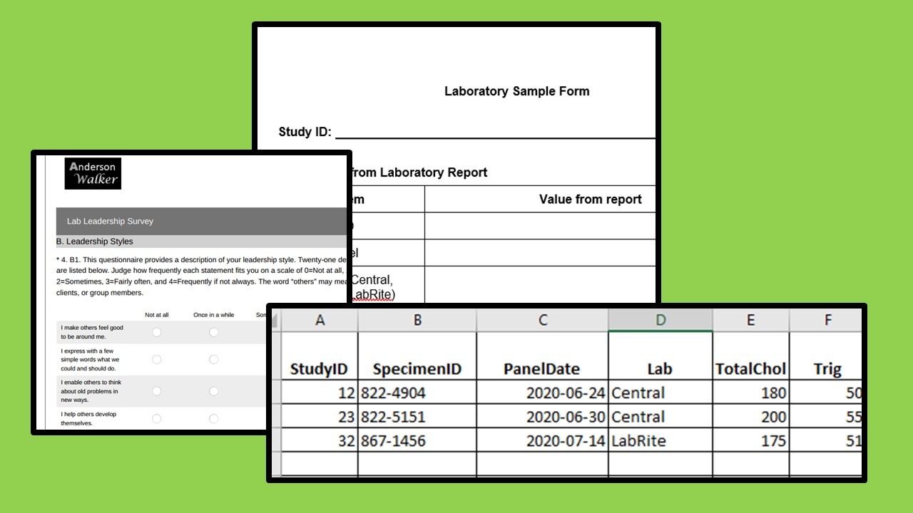 Data collection forms and files also come with structured data entered into Excel