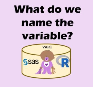 You need to come up with names of variables in SAS and in R, but they need to be compatible with both languages if you are running a data warehouse.