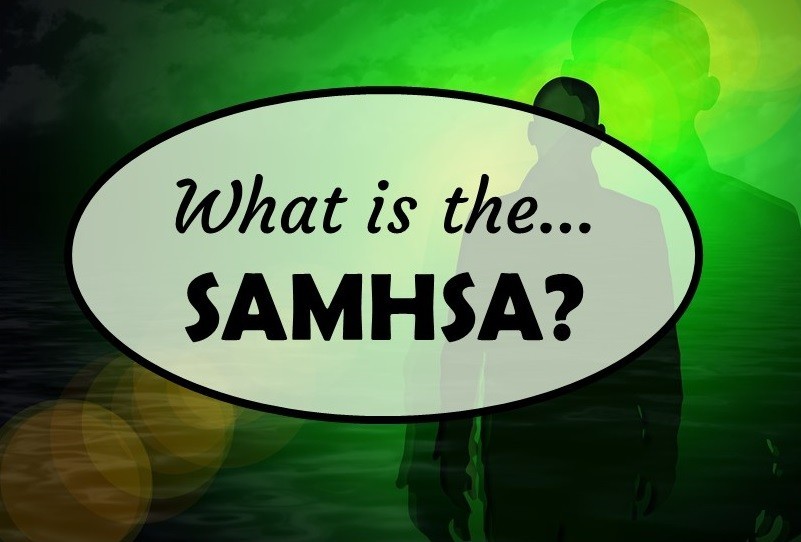 The Substance Abuse and Mental Health Services Administration or SAMHSA is an agency that separates mental health from physical health.