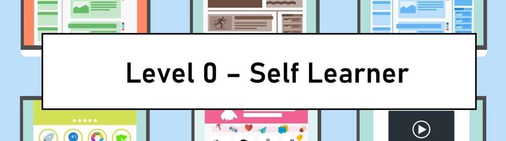 Level 0 is for the self-learner. It provides do-it-yourself resources in data science.